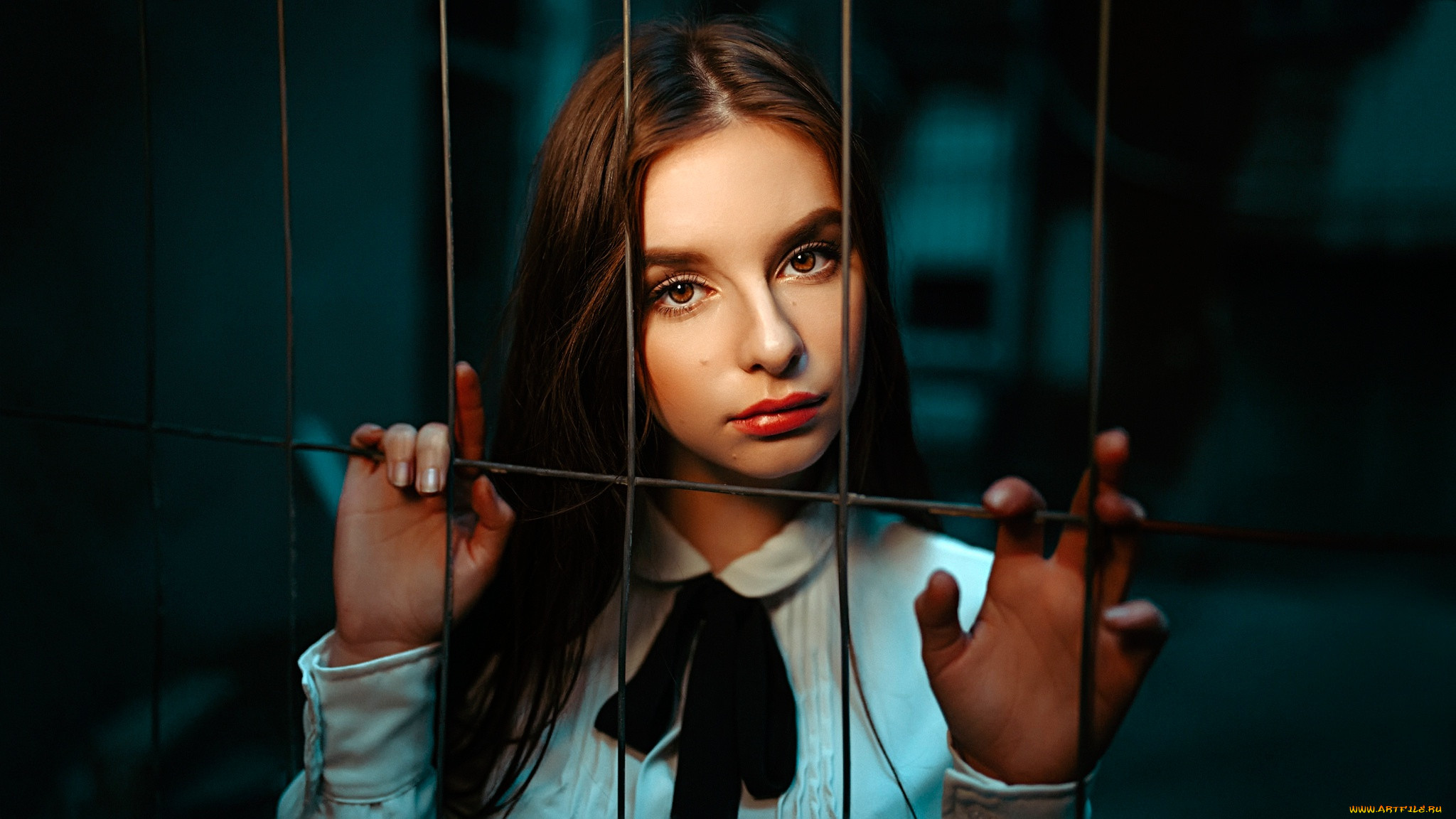 , - ,  , 